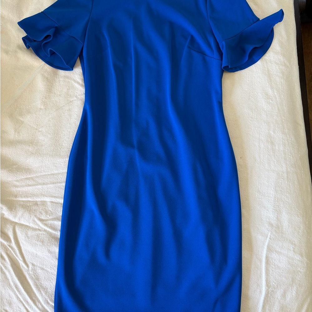 Calvin Klein Royal Blue Dress with Ruffle Sleeves